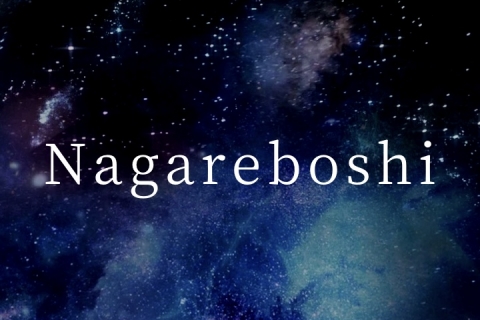 ナガレボシ 堀達弥
